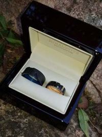 barbara and zoltans titanium weddingrings