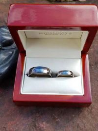brigitta and janoss titanium wedding rings