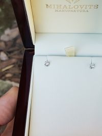 zsuzsannas platinum earrings